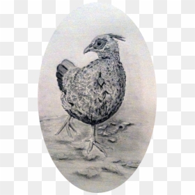 Pheasant - Ruffed Grouse, HD Png Download - pheasant png