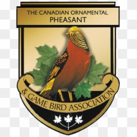 Emblem, HD Png Download - pheasant png