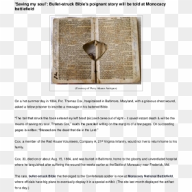 Document, HD Png Download - bullet mark png