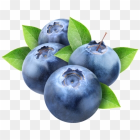 Transparent Blueberries Png - Ode To A Blueberry, Png Download - blue berry png