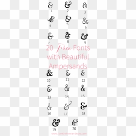 Bloom And Wild, HD Png Download - fancy ampersand png
