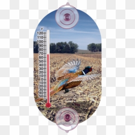 Pheasant - Label, HD Png Download - pheasant png