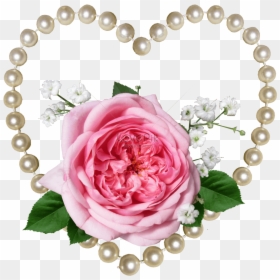 Clip Art Rose Pearl Background Photo - Pink Tea Rose And Pearls, HD Png Download - pink pearl png