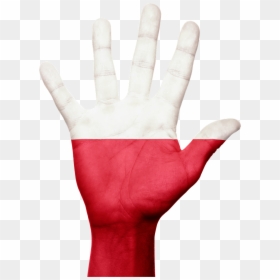 Poland Flag Png, Transparent Png - poland flag png