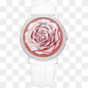 Piaget Altiplano Rose Face, HD Png Download - pink pearl png