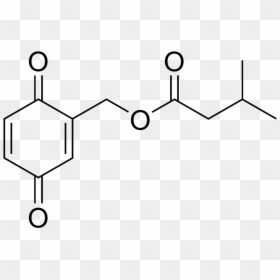 Molecular Weight Of Phthalic Acid, HD Png Download - roaches png