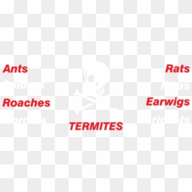 Delta Onderwijs, HD Png Download - roaches png
