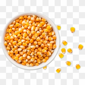 Kernels In A Bowl, HD Png Download - palomitas png