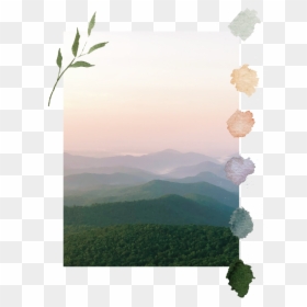 Mountain Layers Color Swatch-01 - Tree, HD Png Download - color swatches png