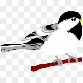 Small Clipart Seagull - Clip Art, HD Png Download - seagul png
