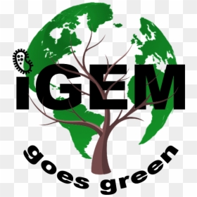 Igem Goes Green Logo - Graphic Design, HD Png Download - go green png