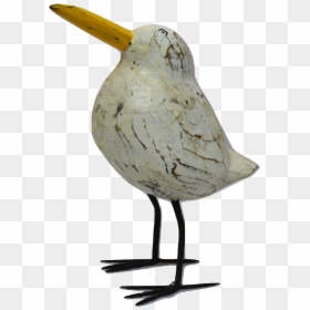 Shorebird, HD Png Download - seagul png