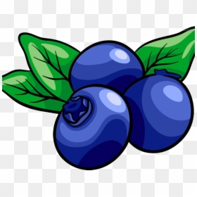 Muffin Clipart Fruit - Blueberry Clipart Png, Transparent Png - blueberry muffin png