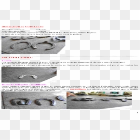 Herraduras Png , Png Download - Metalworking Hand Tool, Transparent Png - herraduras png
