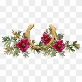 Clip Art Melbourne Cup, HD Png Download - herraduras png