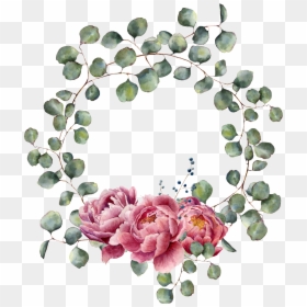 Floral Wreath Eucalyptus Rose, HD Png Download - flores acuarela png