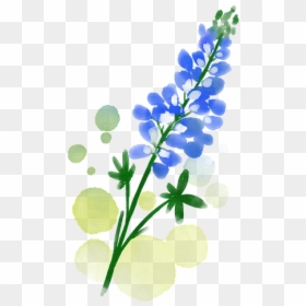 ภาพ สี น้ำ ดอกไม้, HD Png Download - flores acuarela png