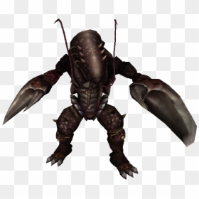 Shrimp Soldier, HD Png Download - soldado png