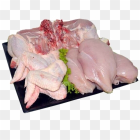 Lote De Pollo - Saltimbocca, HD Png Download - pollo png