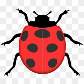 Ladybird Silhouette Stencil Clip Art - Ladybird Silhouette, HD Png Download - lady bugs png