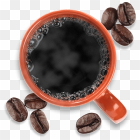 Java Coffee, HD Png Download - cocoa beans png
