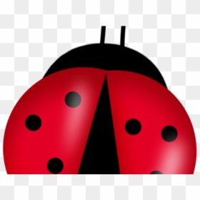 Ladybug Clipart Free, HD Png Download - lady bugs png