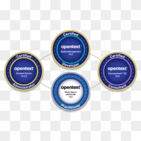 Digital Badge - Digital Badges, HD Png Download - certification icon png