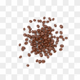 Coffee Beans Transparent - Coffee Beans Png Top, Png Download - cocoa beans png