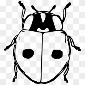 Line Art,monochrome Photography,ladybird - Bug Hut Clip Art Black And White, HD Png Download - lady bugs png