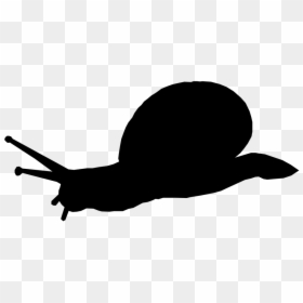 Snail Silhouette Transparent Background, HD Png Download - slow png