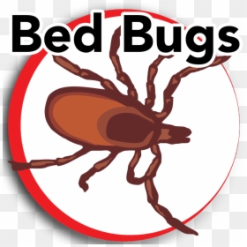 Insect Clipart Bed Bug - Almost Real Things Logo, HD Png Download - bed bug png