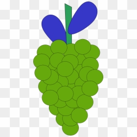 Vector Clip Art - Grapes Animated Grapes Png, Transparent Png - vine vector png