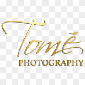 Calligraphy, HD Png Download - tome png