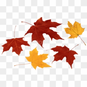 Fall Leaves Clipart Png - Fall Leaves Transparent Background, Png Download - fall leaves corner border png