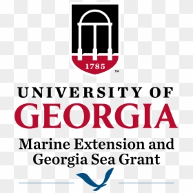 University Of Georgia Lapel Pin - Marine Extension And Georgia Sea Grant, HD Png Download - chrome.png