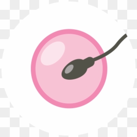 Transparent Clip Art Of Female Uterus - Circle, HD Png Download - twitter icon circle png