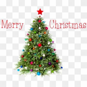 Merry Christmas Png Image With Christmas Tree And Decoration - Transparent Background Christmas Tree, Png Download - 44 png