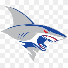 Free Mascot Logo Png , Png Download - Transparent Shark Logo Png, Png Download - mascot png