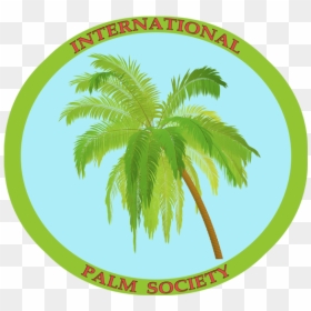 Coconut Tree, HD Png Download - palm tree outline png