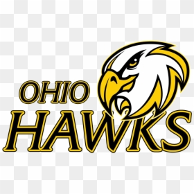 Image1 - Ohio Hawks Softball, HD Png Download - hawks png