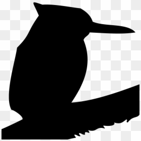 Hawks And Falcons Browse - Illustration, HD Png Download - hawks png