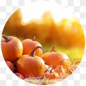Thanksgiving Nov 28 29, HD Png Download - carved pumpkin png