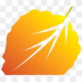 Killzone Clipart Leaf - Illustration, HD Png Download - killzone png