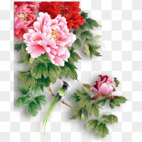 Clip Art Peony Flowers Images - Chinese Peony Flower Png, Transparent Png - peony outline png