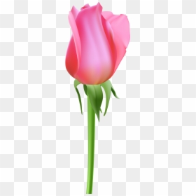 Transparent Rose Bud Png - Tulip, Png Download - peony outline png