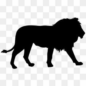 Transparent Lion Clipart - Jungle Animal Silhouette Animals, HD Png Download - animal silhouette png