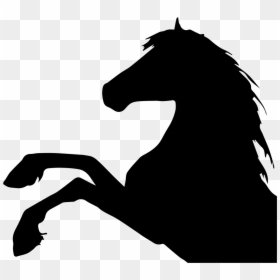Horse Raising Feet Side View Silhouette Head Part - Vector Silhouette Horse Head, HD Png Download - part png
