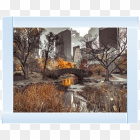 Central Park Wall Mural, HD Png Download - central park png