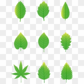 Simplicity Cartoon Green Leaves Elements Png And Vector - Green Leaves Cartoon, Transparent Png - leaves pile png