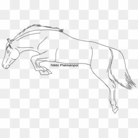 Transparent Horse Jumping Clipart - Transparent Horse Jumping Lineart, HD Png Download - lineart png